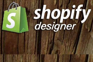 Shopify, E-Commerce Services Image, NYC, Long Island, Queens, Brooklyn, New York, Valley Stream | 516.286.3583, DinoRiese.com