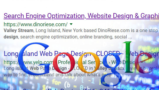 DinoRiese.com Web Design & SEO Specialist image of Google Search results for web design in Valley Stream | 516.286.3585