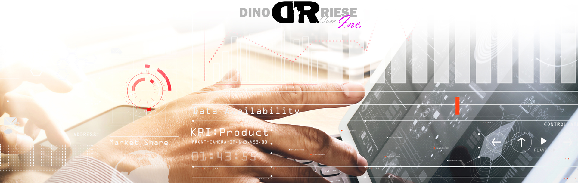 Google Analytics Reports | DinoRiese.com Inc. - Image