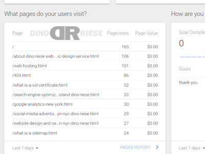 Google Analytics visitor page statistics image | Dino Riese.com | Google Analytics Services | SEO Specialist | Long Island, New York City (NYC), Broklyn, Queens | Phone: 516.286.3583 | DinoRiese@gmail.com