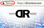 Secured Sockets Layer (SSL Account image) | DinoRiese.com | 516.286.3583 | DinoRiese@gmail.com