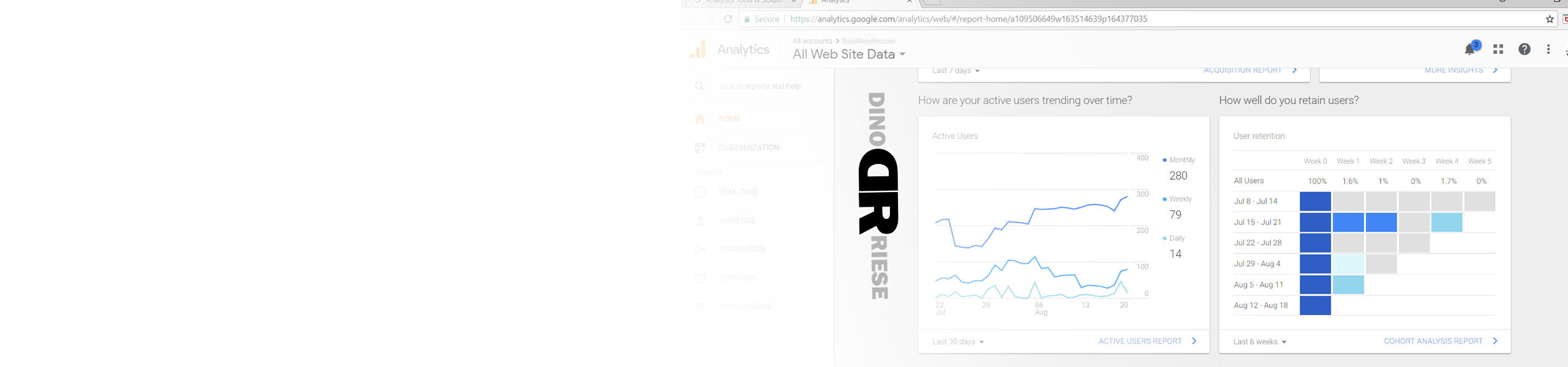 Google Analytics inams | DinoRiese.com
