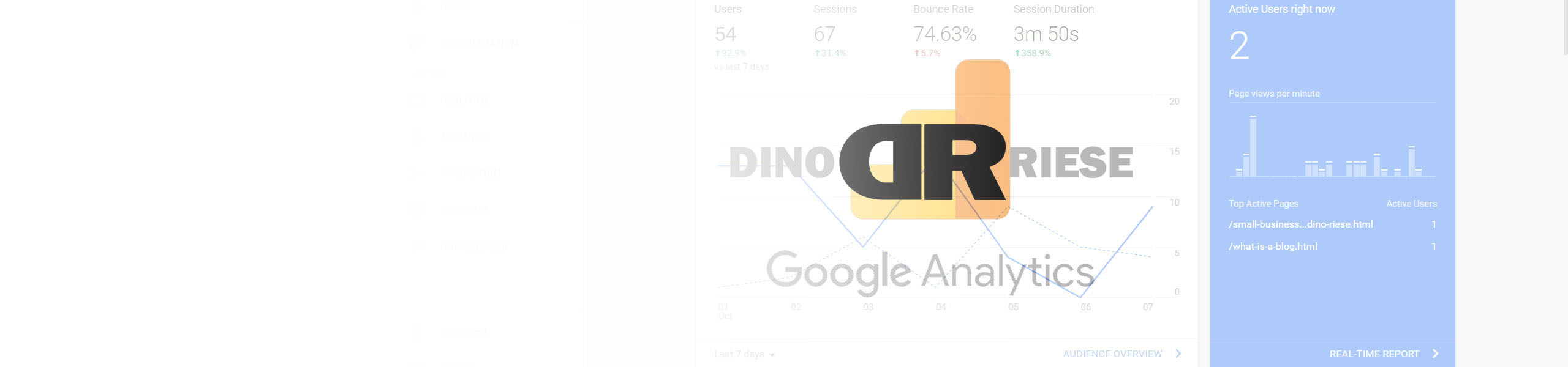DinoRiese.com Google Analytics Service Photo | DinoRiese@gmail.com