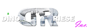 Dino Riese Web Design, Hosting, & SEO, Manhattan, NYC, New York City, Queens, Long Island, Brooklyn, NY | 516.286.3583 | Logo